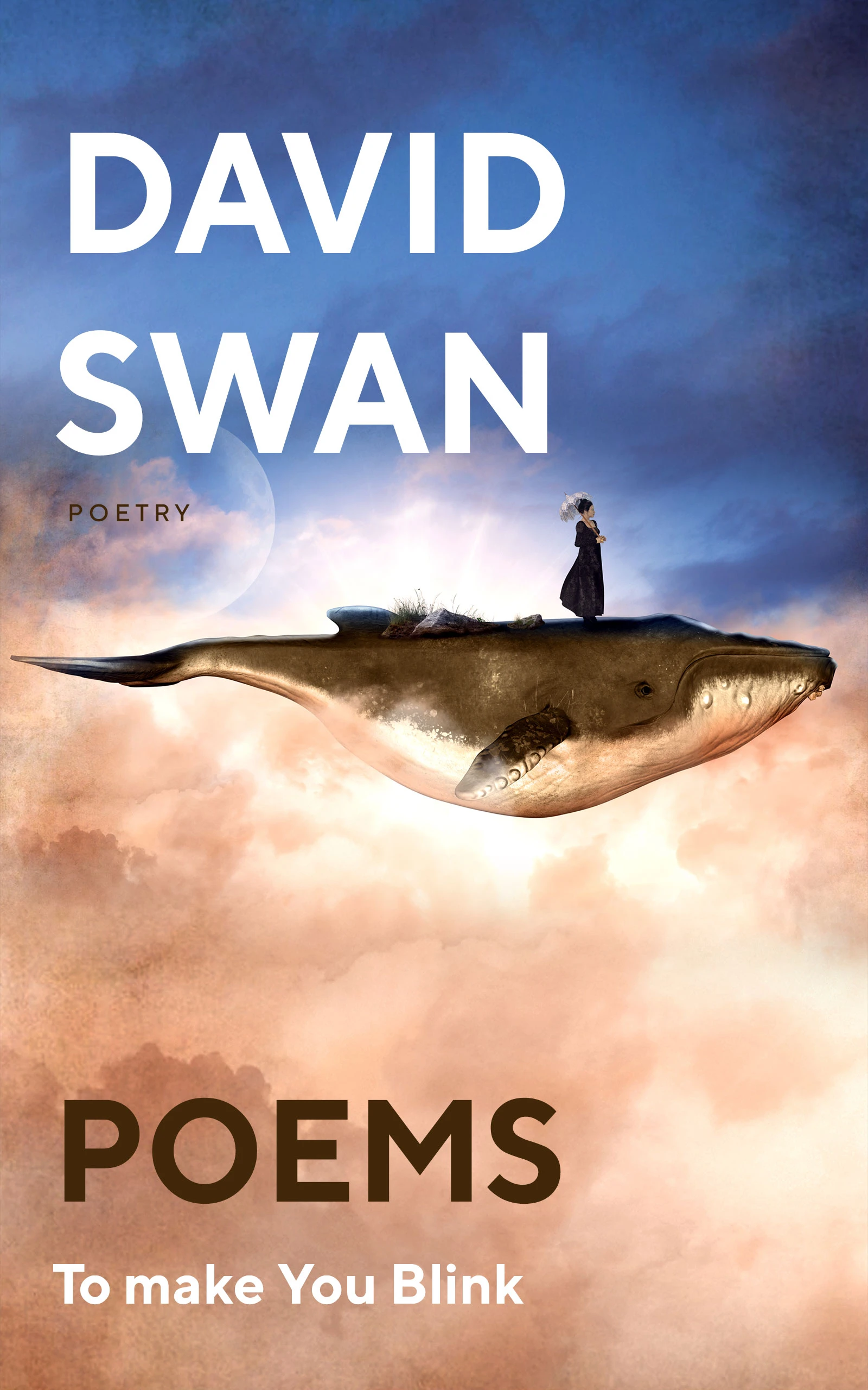 Poems To Make You Blink
