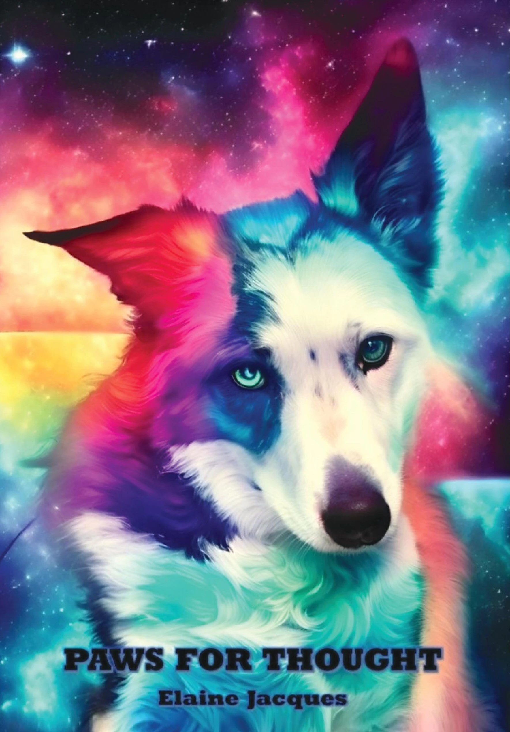 Paws for Thought: Life through a dog’s eyes